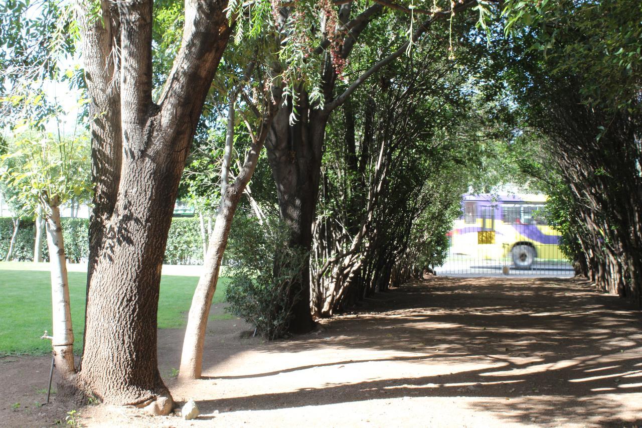 Hotel Plaza Zacatecas Guadalupe  エクステリア 写真